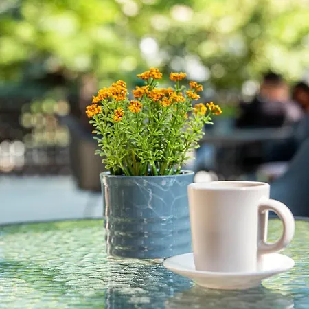 Otel Richter Pansion