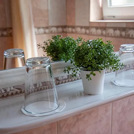 Richter Pansion Szálloda 3*